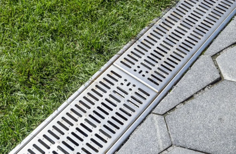 signs of poor yard drainage