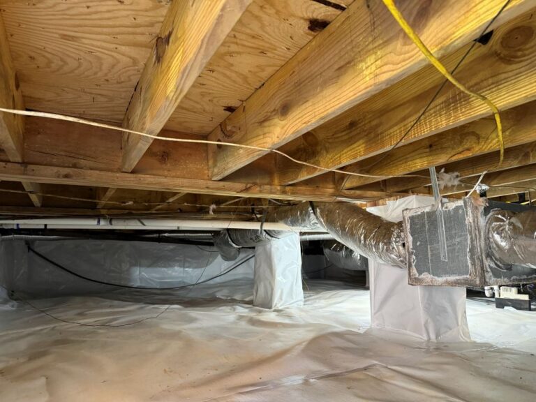 standing water in crawl space